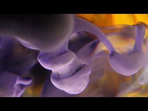 [FREE] - SZA x Bryson Tiller R&B Type Beat "Better"