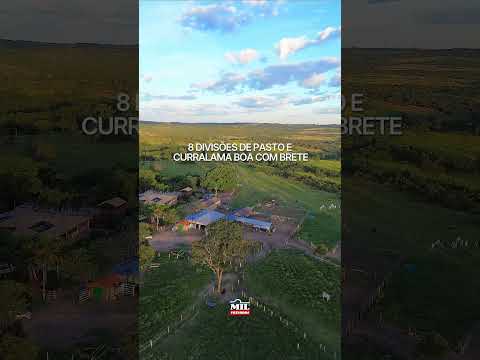 FAZENDA À VENDA – REGIÃO DE EDÉIA-GO, 60 alqueires goianos #agro #fazendaavenda