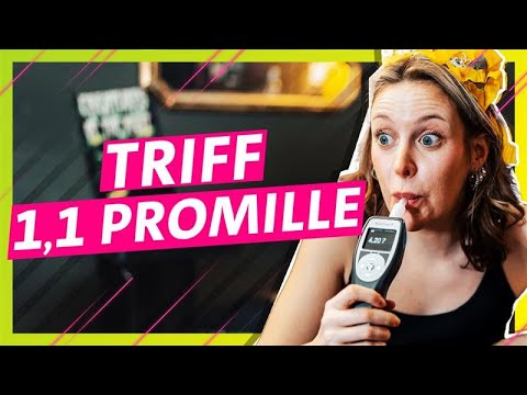 Triff genau 1,1 Promille!
