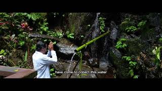 Nandini Jungle by Hanging Gardens: The Place of Transformations