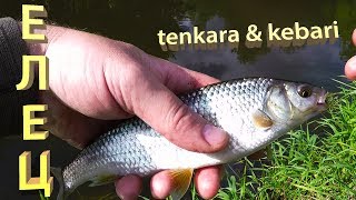 Мушки для ловли ельца своими руками