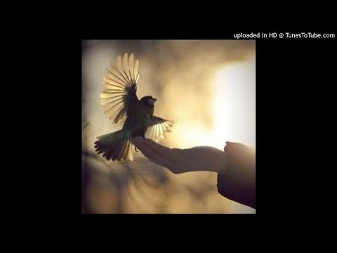Asa Ligeira - Silvestre Kuhlmann