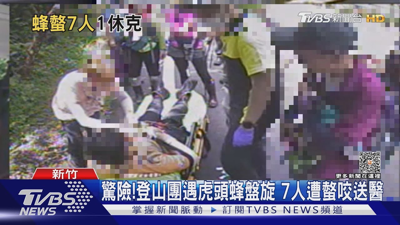 驚險!登山團遇虎頭蜂盤旋 7人遭螫咬送醫