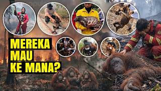 Download lagu KALIMANTAN MEMBARA! Satwa Langka Jadi Korban, Dalang Karhutla Mulai Terkuak mp3