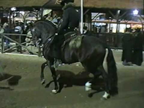 golega horse fair- the dancer.mpg