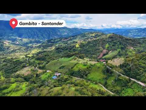 Gambita - Santander