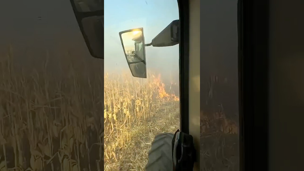 #fire #tractor #farming