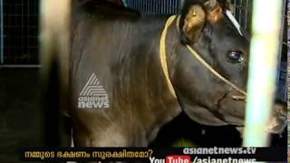 Unauthorised slaughter houses  working in Kerala , Malayalis eating Unhealthy Meat