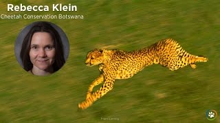 preview picture of video 'Cheetah Conservation Botswana · Rebecca Klein · Expo 2014'
