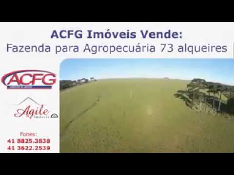 Fazenda 73 Alqueires LAPA-PR