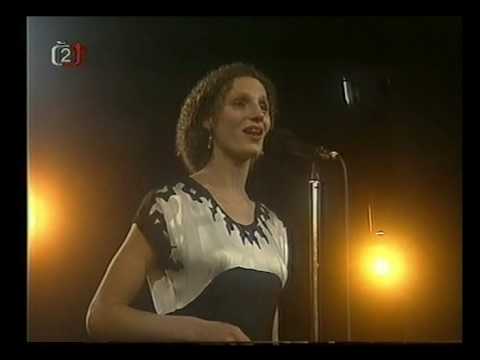 Pražský Swingový Orchestr - The Moon Fell in The River