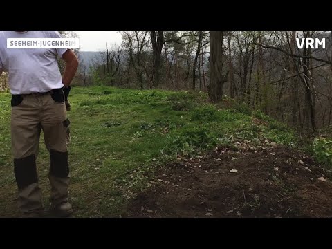 Seeheim-Jugenheim: Freiwilliger Einsatz für Tanneburg