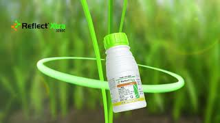 Reflect®Xtra 325SC 2023: Trổ Thoát Đồng Loạt