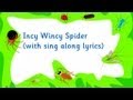 Incy Wincy Spider
