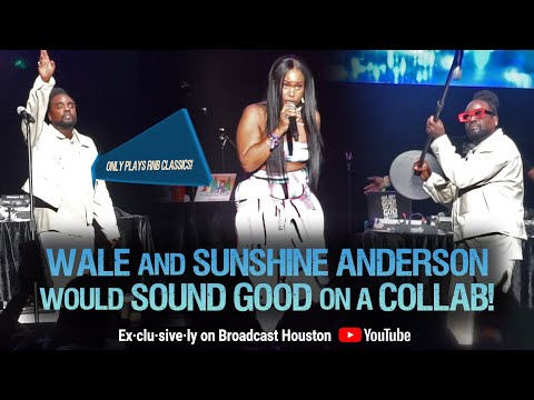 SUNSHINE ANDERSON Crashes WALE Set, ATL Goes Insane @ R&B Only Festival Atlanta 2022