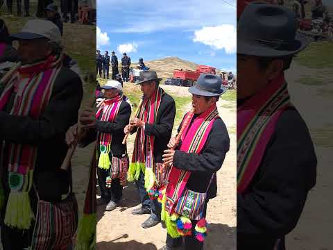 Carnaval de Chucaripo, Samán, Azángaro, Puno, Perú. #musica #huayno
