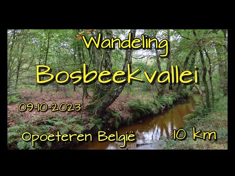 Wandeling Bosbeekvallei Opoeteren (09-10-2023)
