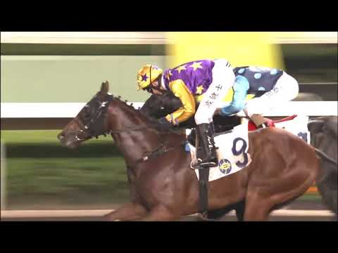 6/12/2020 (248) Amazing Chocolate - V Borges