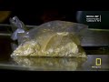 Windy City High Drugs Inc National Geographic HD