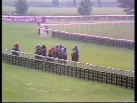 1986 William Hill Trophy Handicap