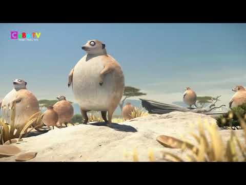 Thế giới bong bóng - Khi các loài vật béo tròn