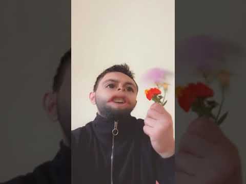 The Albanian Comedy Noke Ramos Enderr me TikTok tap tap dhe lule trendafila respekte per te gjith ju