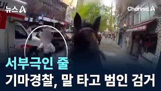서부극인 줄…기마경찰, 말 타고 범인 검거