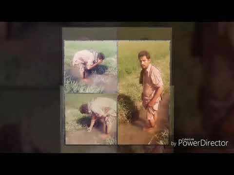 Gidra Da Sunya Group Phirda  G Kendy #Sher Maarna, ..💪🐅