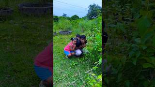 Download lagu Kaathu Mela 🤪🤣 #shorts #viral #funny #viralshorts #comedy #fun #shortsfeed #trending mp3