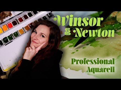 Winsor & Newton Professional Watercolor Paints - Do you really need such expensive paints?