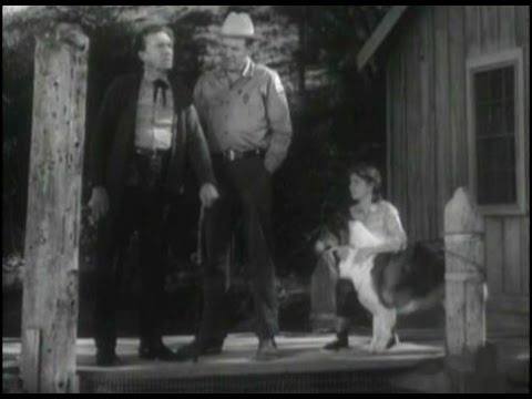 Lassie - Episode #380 - "Lassie and the Swamp Girl" - Season 11, Ep.28 - 03/28/1965