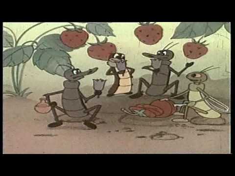 Napsitrallid - Vorstilugu