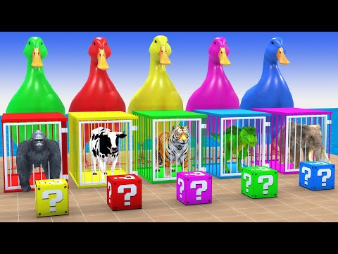 Long Slide Game With Cow Elephant Gorilla Hippopotamus Tiger 3d Animal Game Funny 3d Animals