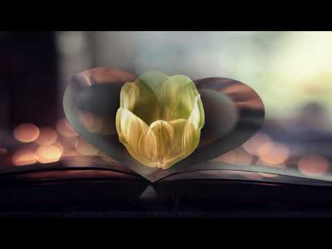 ♪❤  Ingrid Kup   Feel Me  ❤ ♪