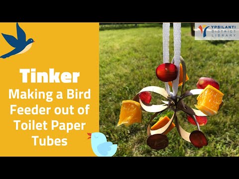 Little Ones STEAM: Fruit Bird Feeders