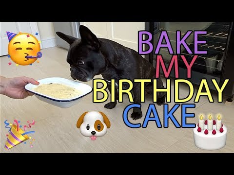 How to make a simple pup cake! | French Bulldog George