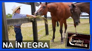 Miniatura do vídeo