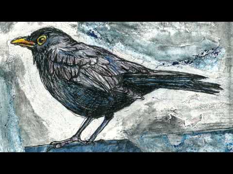 Lee DeWyze - Blackbird's song