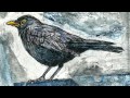 Lee DeWyze - Blackbird's song 