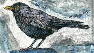 Lee DeWyze - Blackbird's song