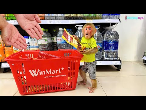 Baby monkey BuNa is sick — Kyo and Dad rush to the supermarket!