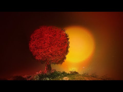 Video thumbnail for Saturn (Live)