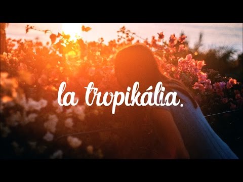 Lincoln Jesser ft. Yuna - Baby Boy (Famba Remix)