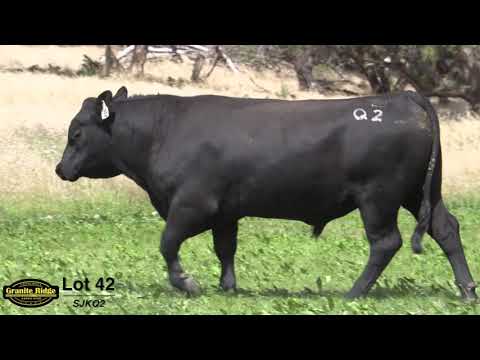 GRANITE RIDGE QUENTIN Q2