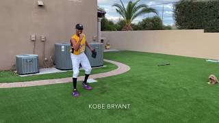 [其他] 如果nba球員去打棒球...