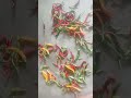 Mirchi Mirchi Masala Recipe Minivlog Viral Shorts