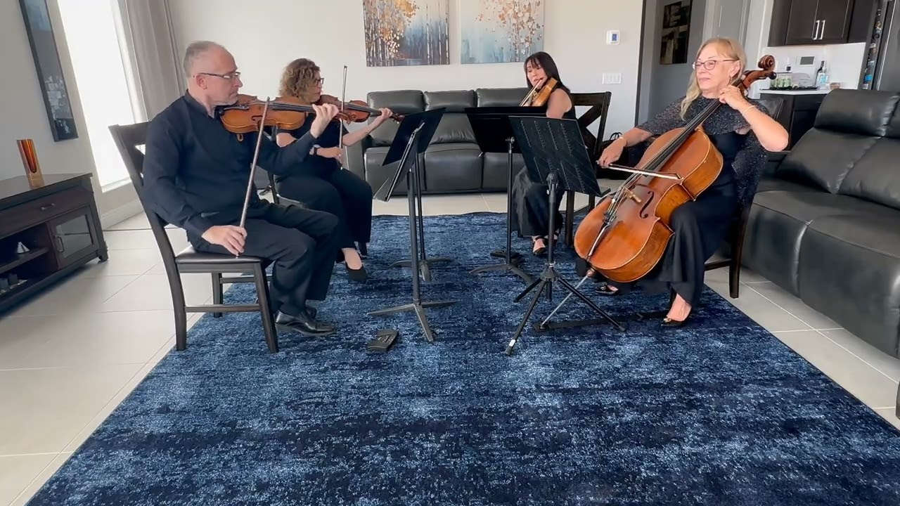 Promotional video thumbnail 3 for Avanti Strings