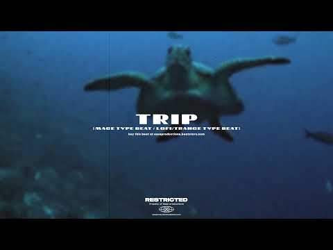 [FREE] Mace Type Beat / Lofi - Trance Type Beat - TRIP (prod. Esse)
