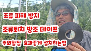 조류퇴치 피해예방  방조  테이프  반사 새줄 [사과재배]