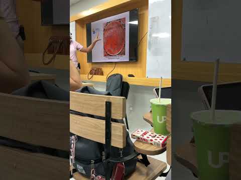 GRAM POSITIVE BACILLI (CONTINUATION)